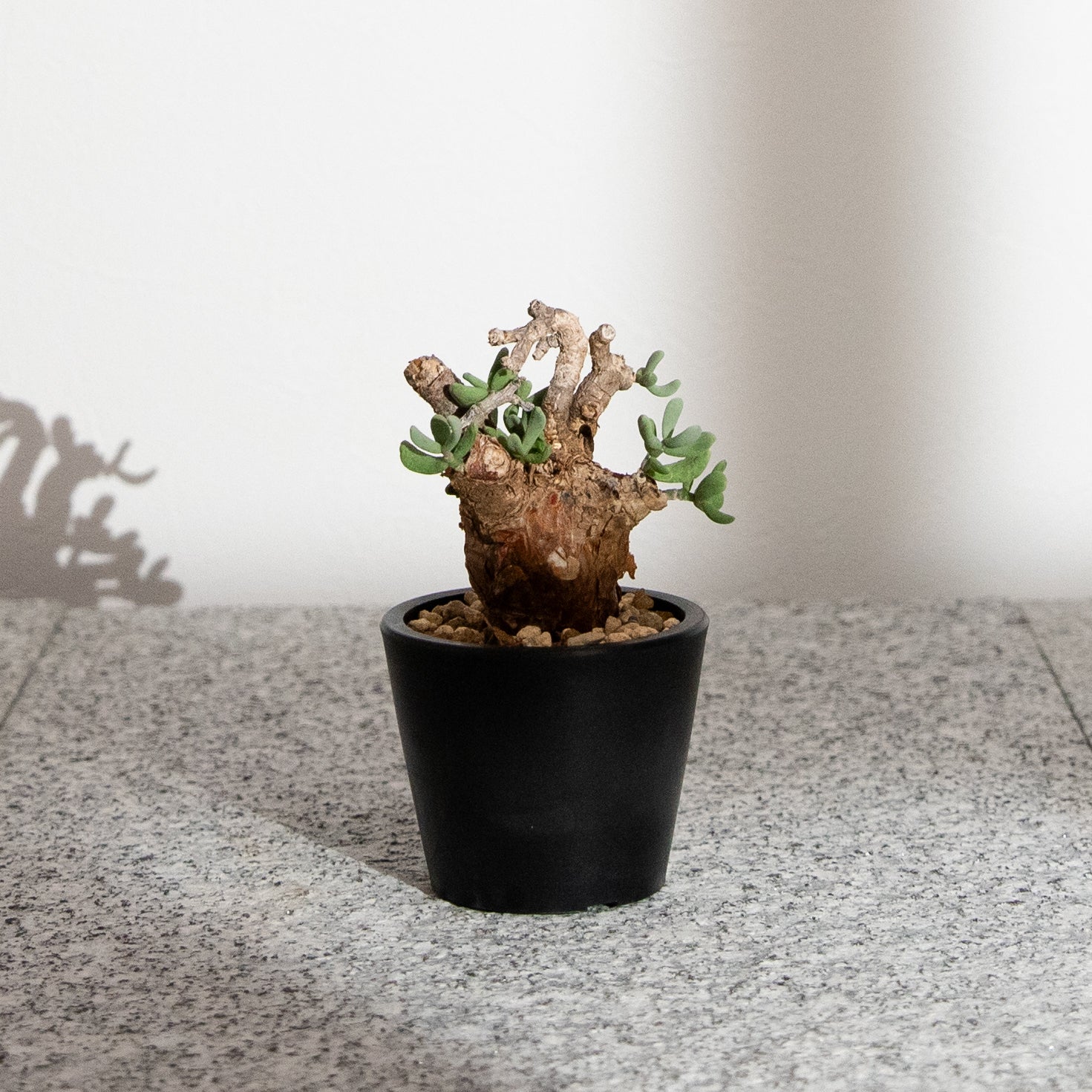 KUSABI オンラインショップ