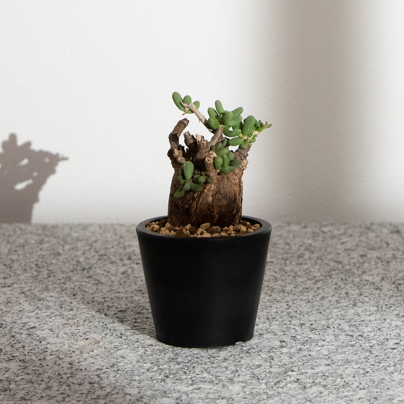 KUSABI オンラインショップ