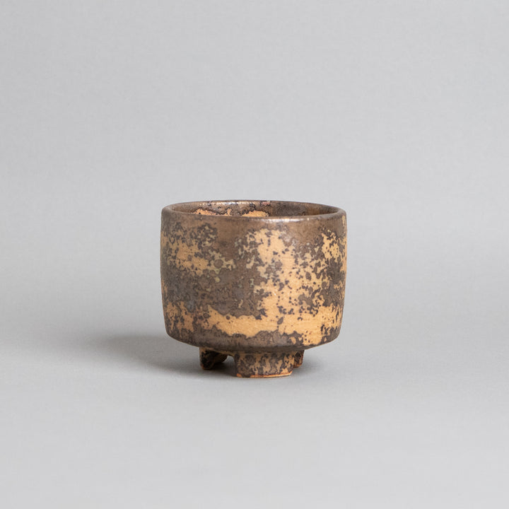 作家鉢　インディゴザウルス.ラボ｜(POT-0174-ES)