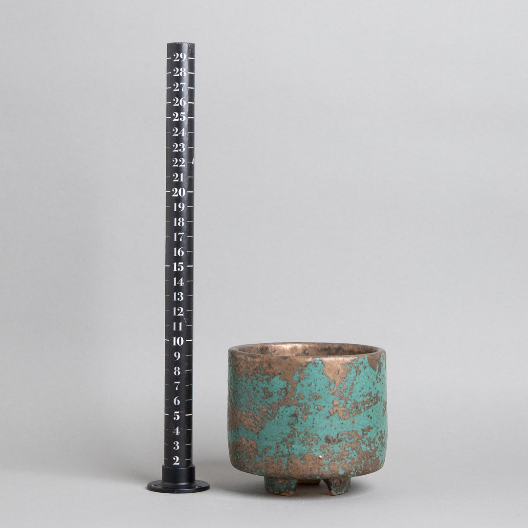 作家鉢　インディゴザウルス.ラボ｜(POT-0178-ES)