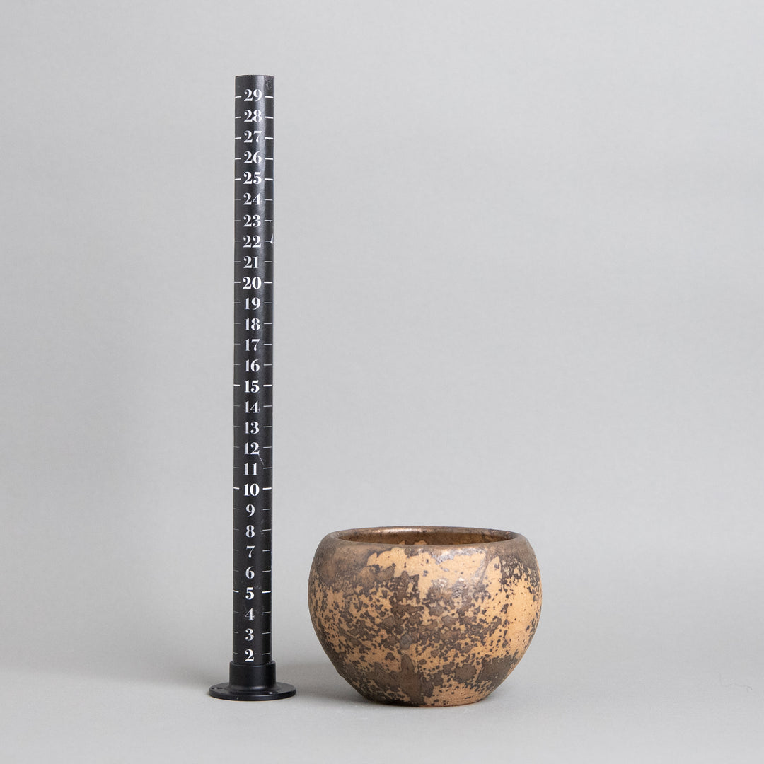 作家鉢　インディゴザウルス.ラボ｜(POT-0171-ES)