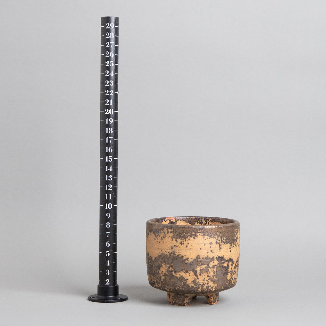 作家鉢　インディゴザウルス.ラボ｜(POT-0174-ES)