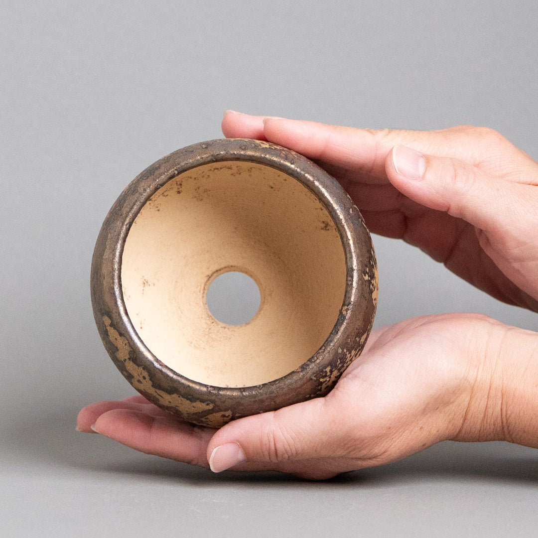 作家鉢　インディゴザウルス.ラボ｜(POT-0171-ES)