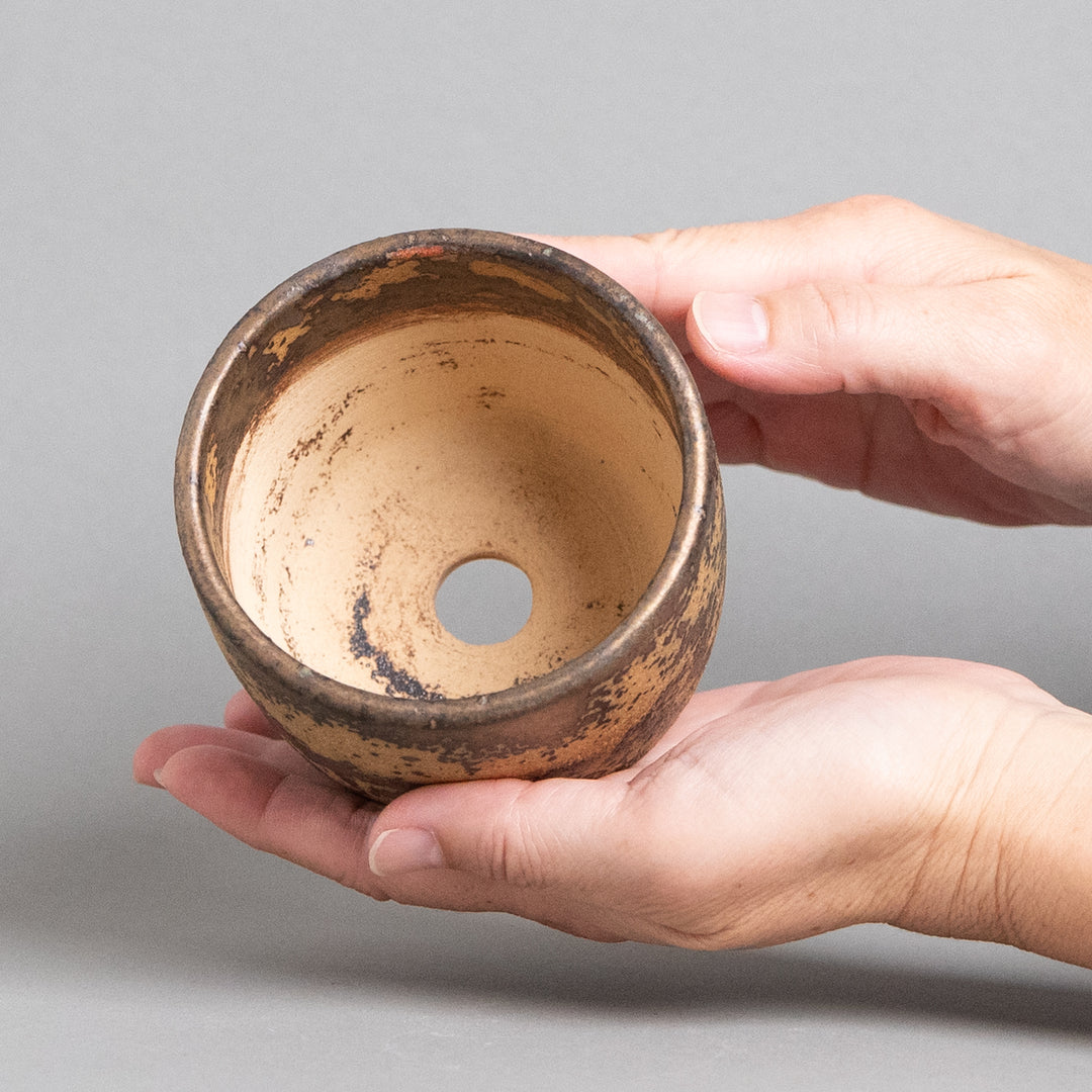 作家鉢　インディゴザウルス.ラボ｜(POT-0174-ES)