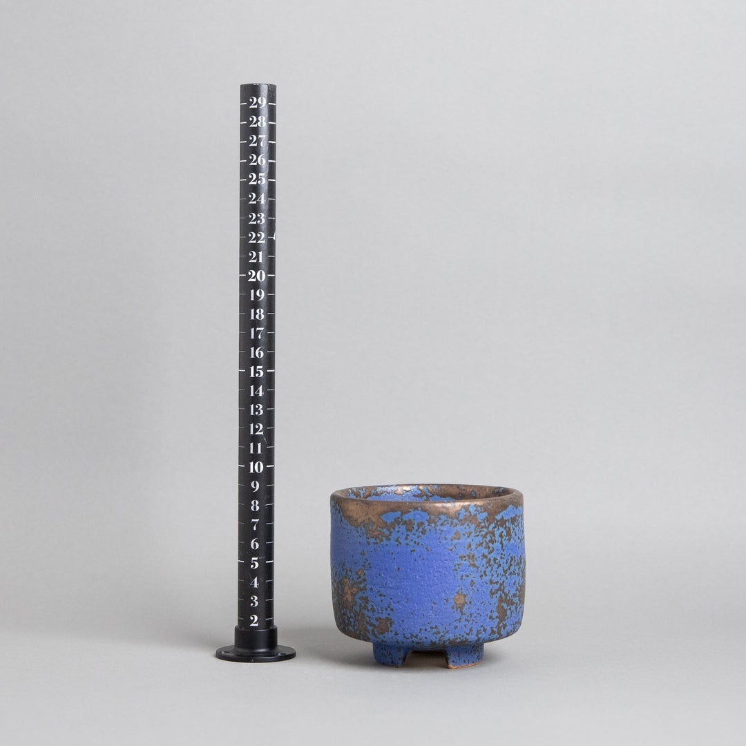 作家鉢　インディゴザウルス.ラボ｜(POT-0176-ES)