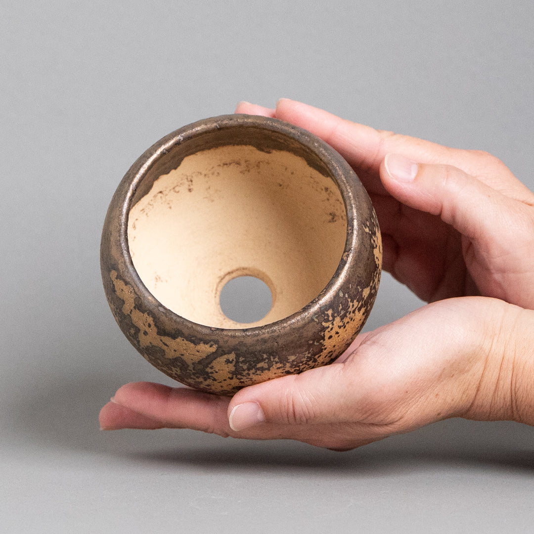 作家鉢　インディゴザウルス.ラボ｜(POT-0171-ES)