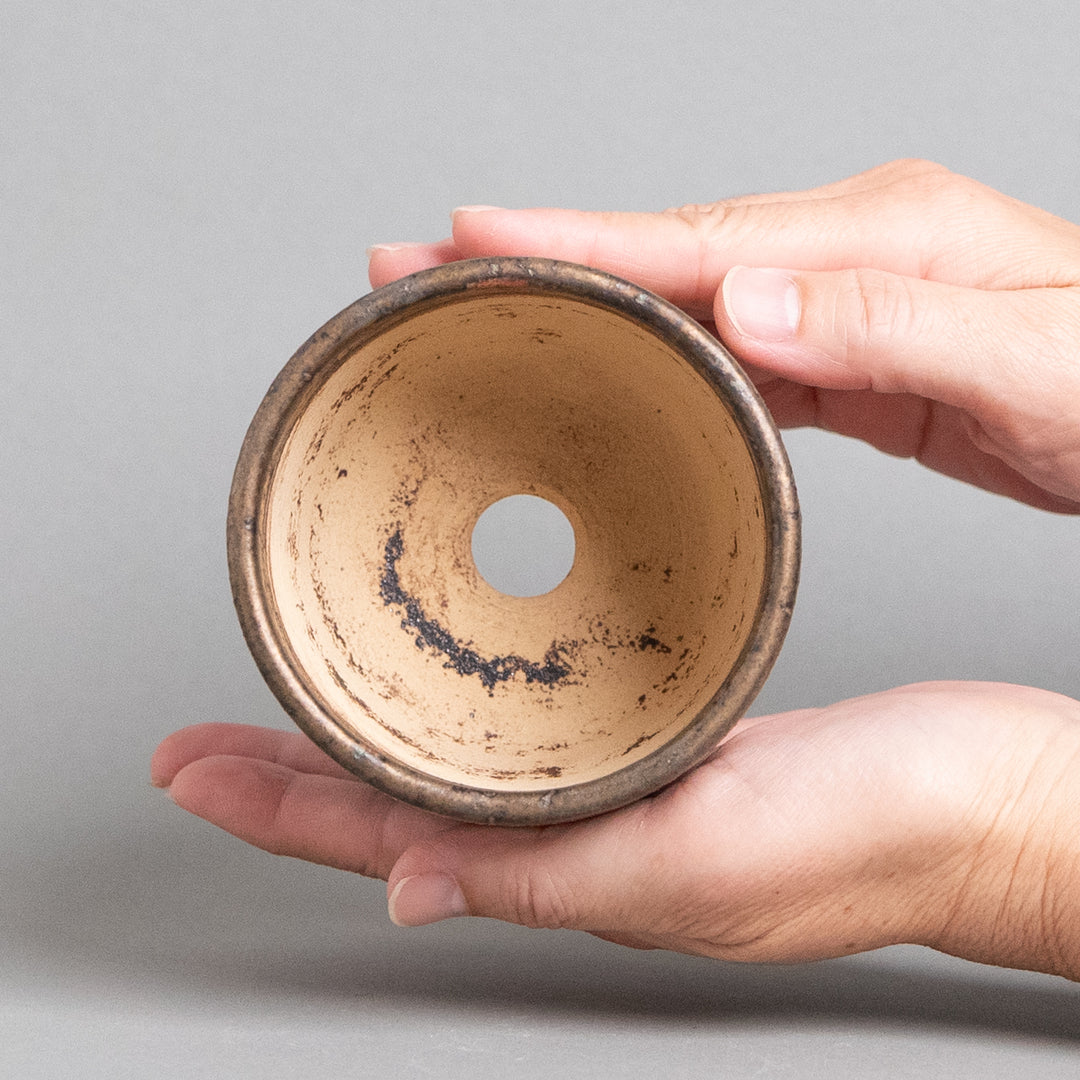 作家鉢　インディゴザウルス.ラボ｜(POT-0174-ES)