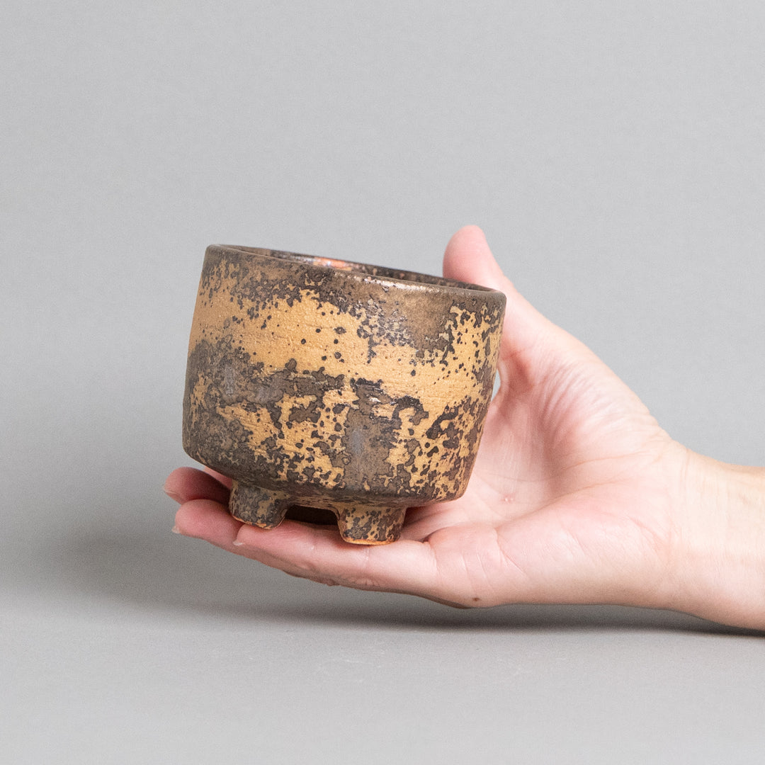 作家鉢　インディゴザウルス.ラボ｜(POT-0174-ES)