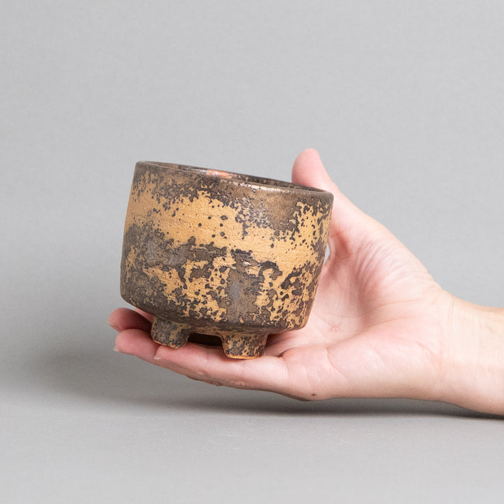 作家鉢　インディゴザウルス.ラボ｜(POT-0174-ES)