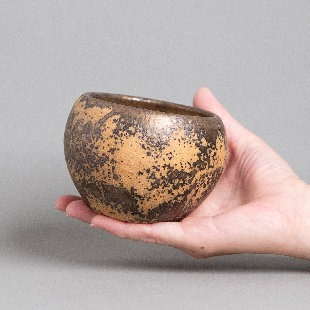 作家鉢　インディゴザウルス.ラボ｜(POT-0171-ES)