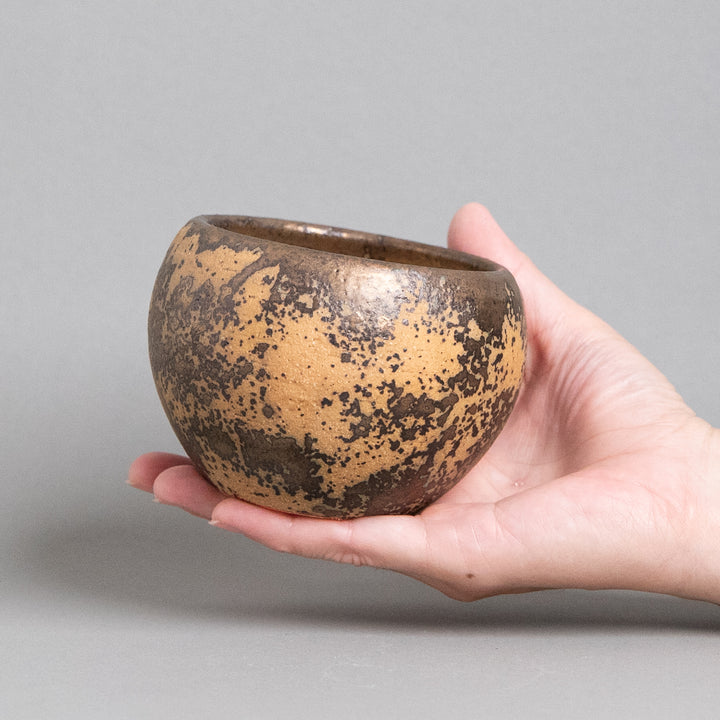 作家鉢　インディゴザウルス.ラボ｜(POT-0171-ES)