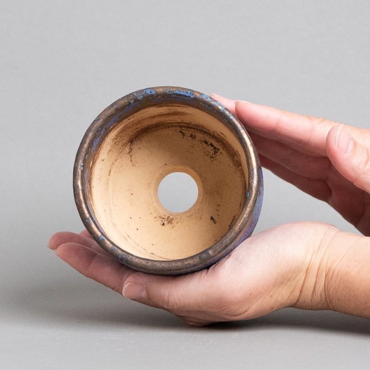 作家鉢　インディゴザウルス.ラボ｜(POT-0176-ES)