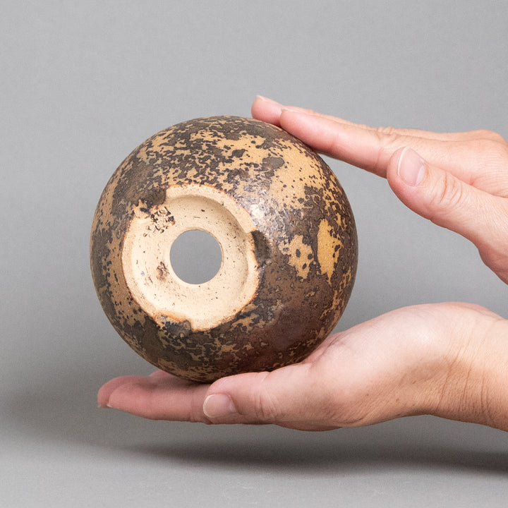 作家鉢　インディゴザウルス.ラボ｜(POT-0171-ES)