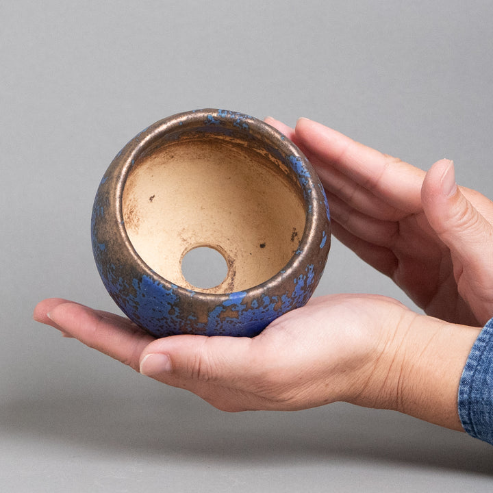 作家鉢　インディゴザウルス.ラボ｜(POT-0173-ES)