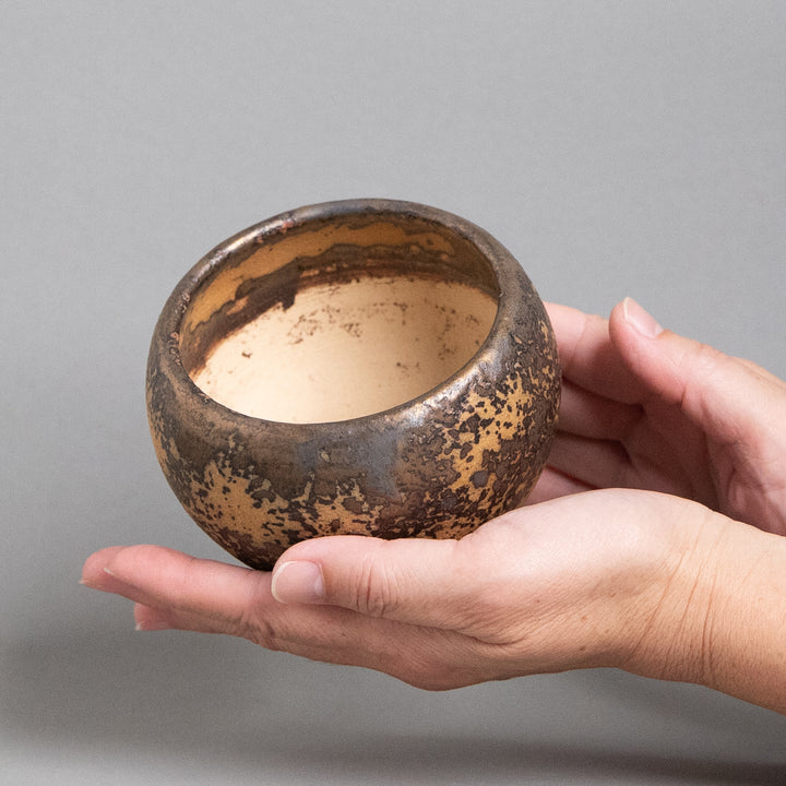 作家鉢　インディゴザウルス.ラボ｜(POT-0171-ES)