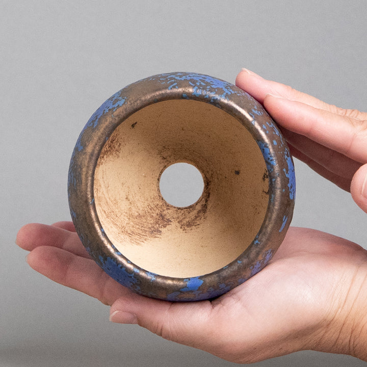 作家鉢　インディゴザウルス.ラボ｜(POT-0173-ES)