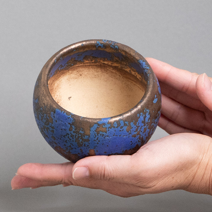 作家鉢　インディゴザウルス.ラボ｜(POT-0173-ES)