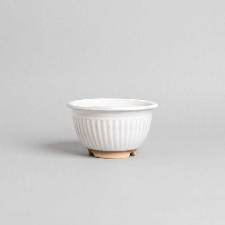 作家鉢　土秀窯　和田隆男 ｜(POT-0030-ES)