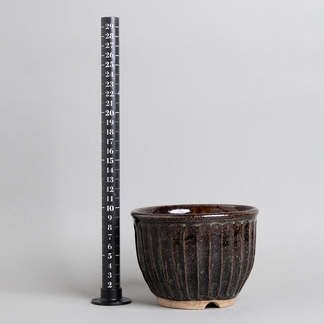 作家鉢　土秀窯　和田隆男 ｜(POT-0032-ES)