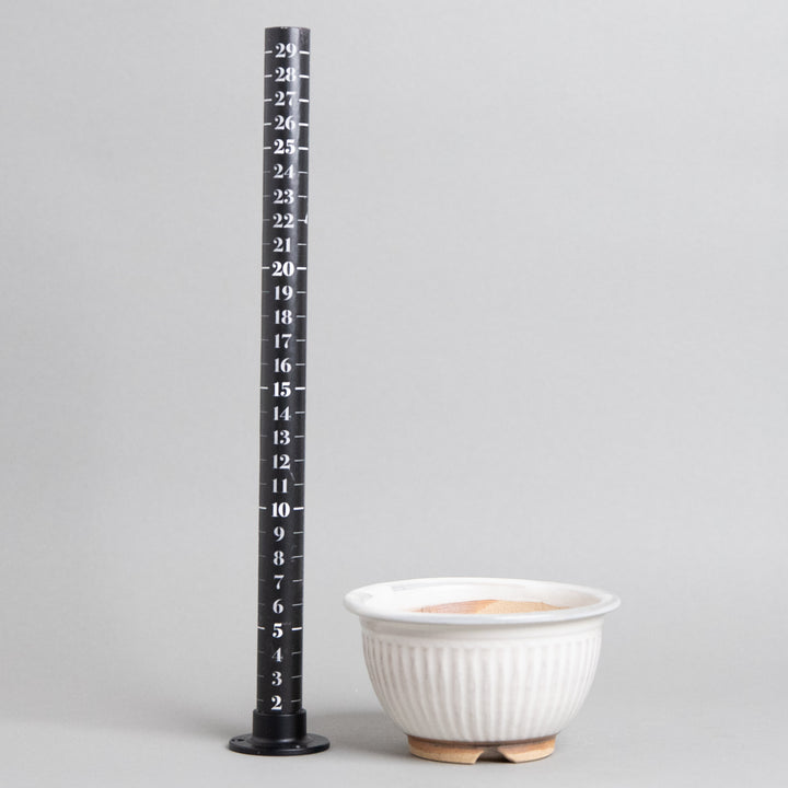 作家鉢　土秀窯　和田隆男 ｜(POT-0030-ES)