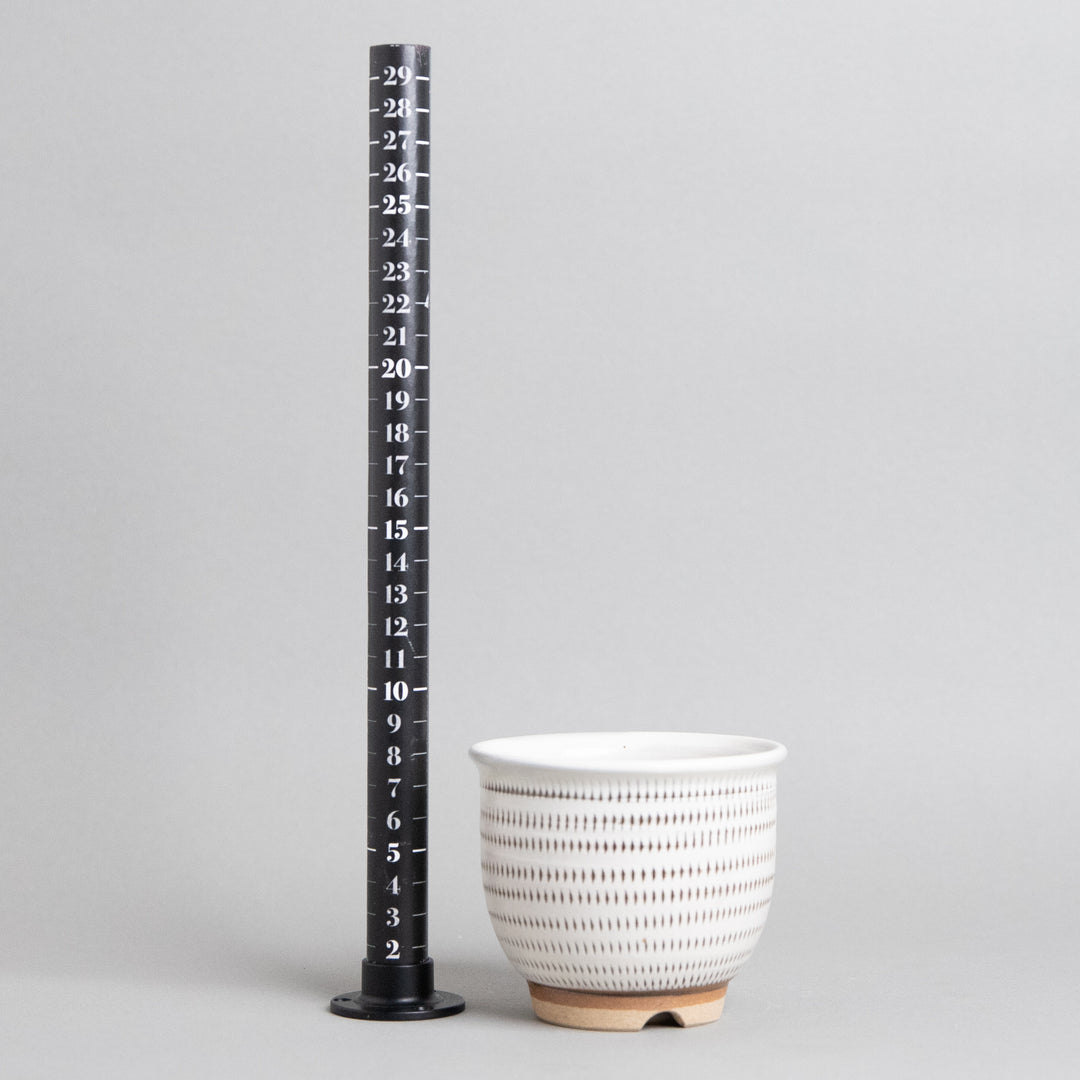 作家鉢　土秀窯　和田隆男｜(POT-0028-ES)