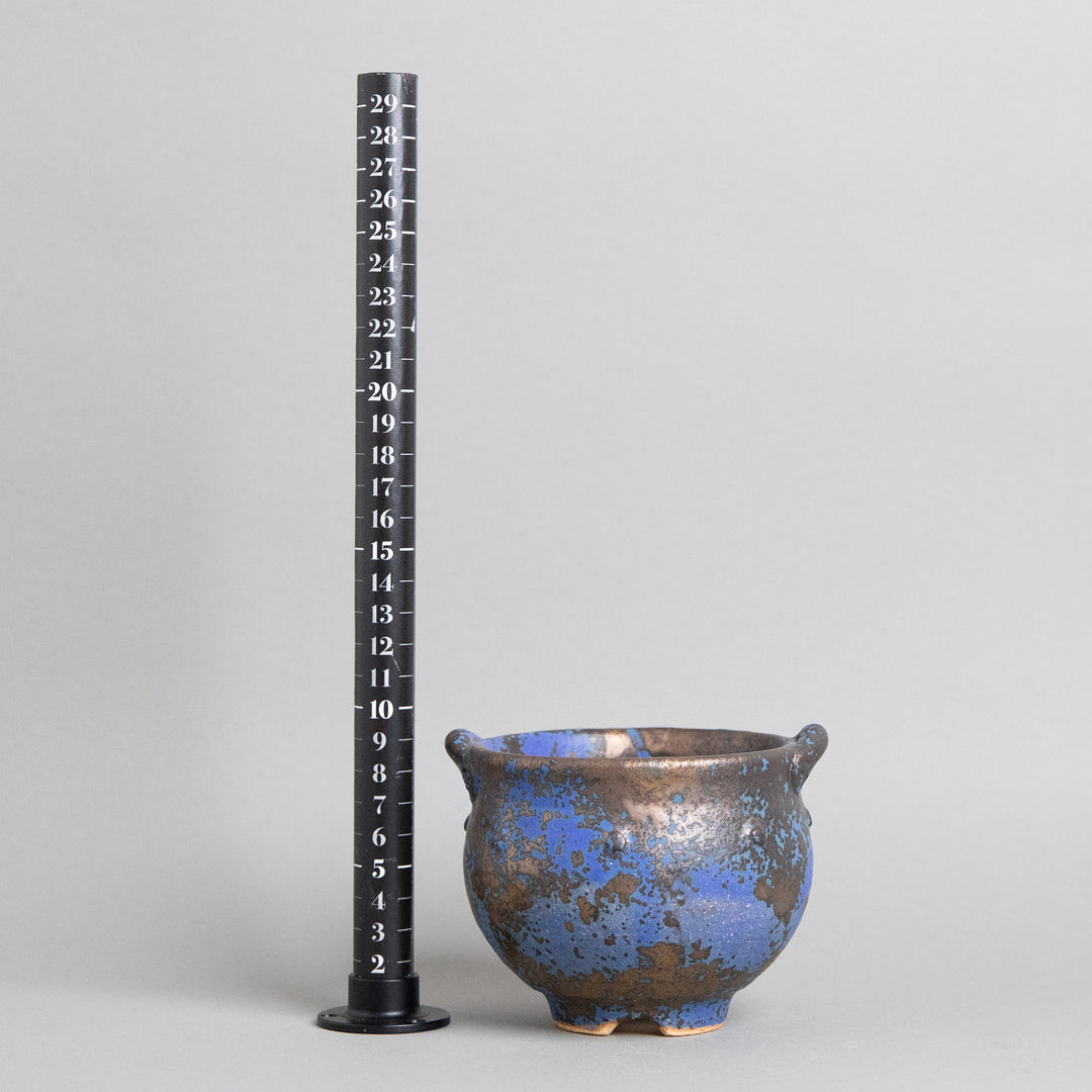 作家鉢　インディゴザウルス｜(POT-0182-ES)