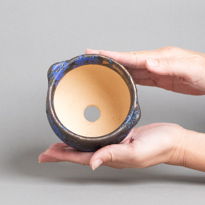 作家鉢　インディゴザウルス｜(POT-0182-ES)