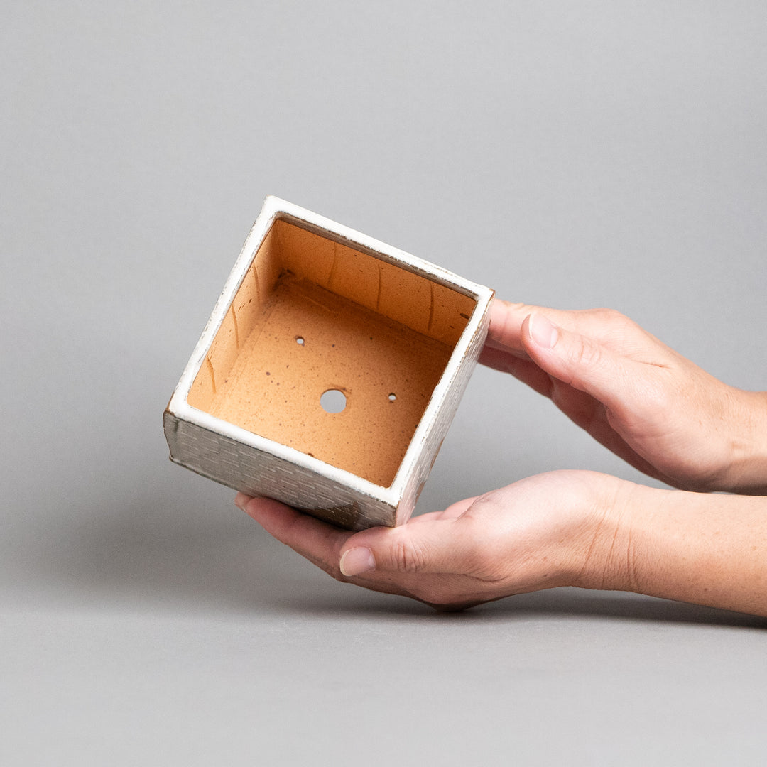 作家鉢　乾太郎窯｜(POT-0023-ES)