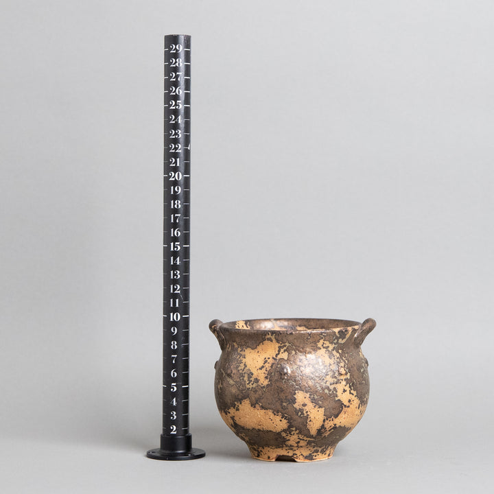 作家鉢　インディゴザウルス.ラボ｜(POT-0180-ES)