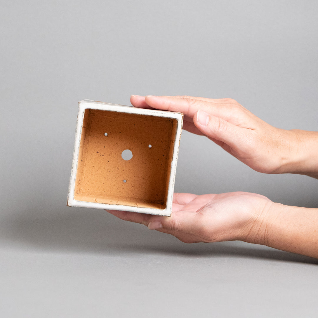 作家鉢　乾太郎窯｜(POT-0023-ES)