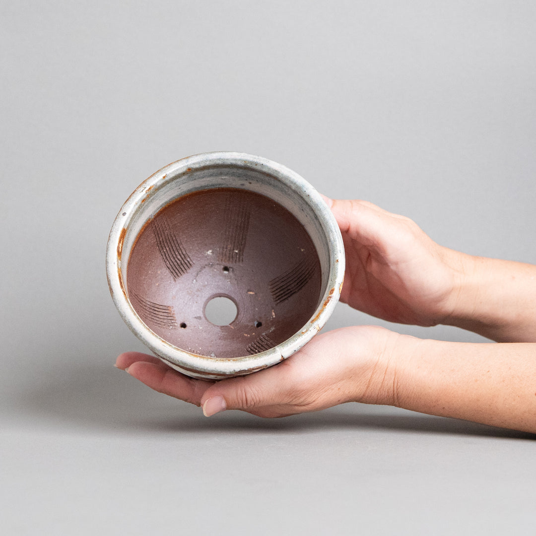 作家鉢　乾太郎窯｜(POT-0025-ES)