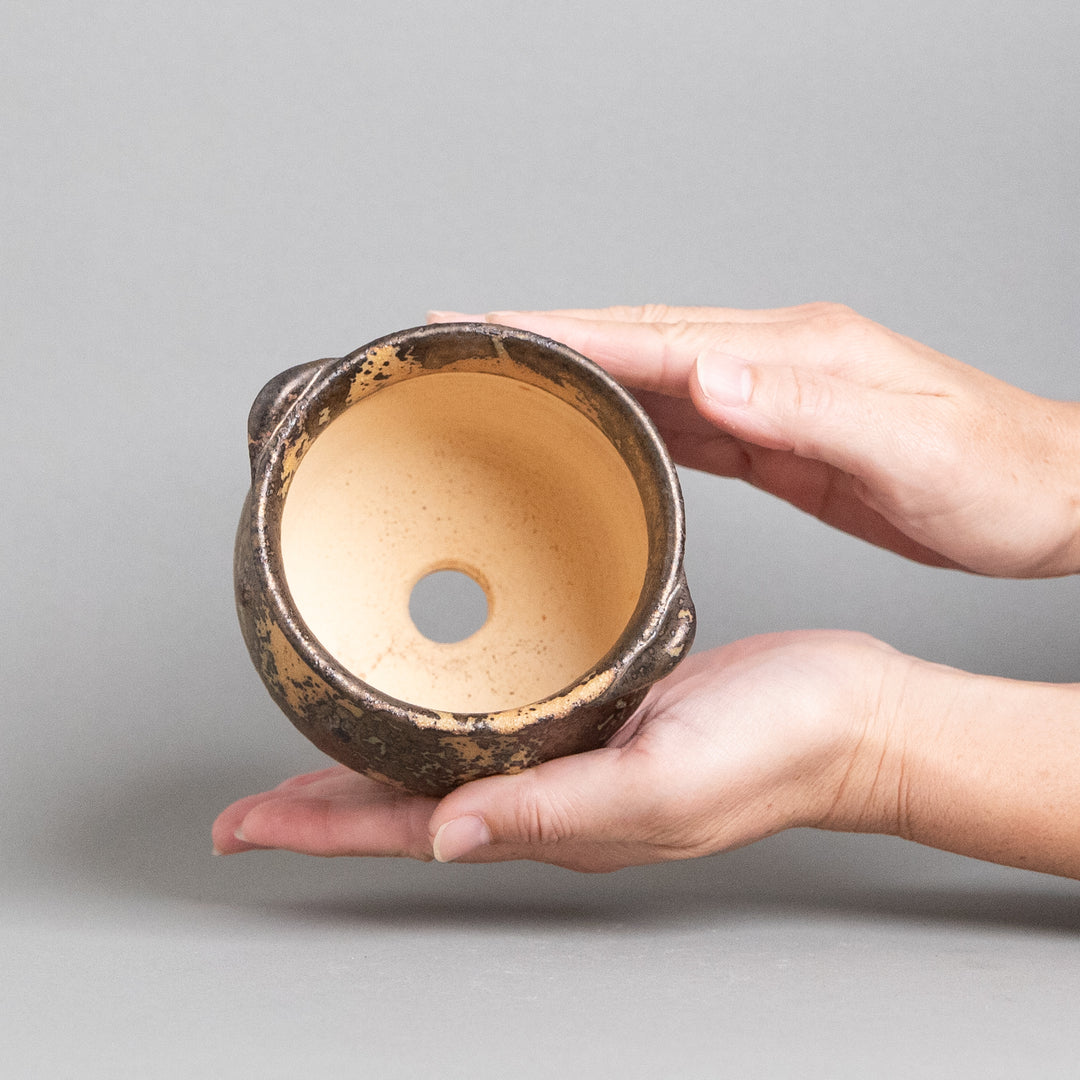 作家鉢　インディゴザウルス.ラボ｜(POT-0180-ES)