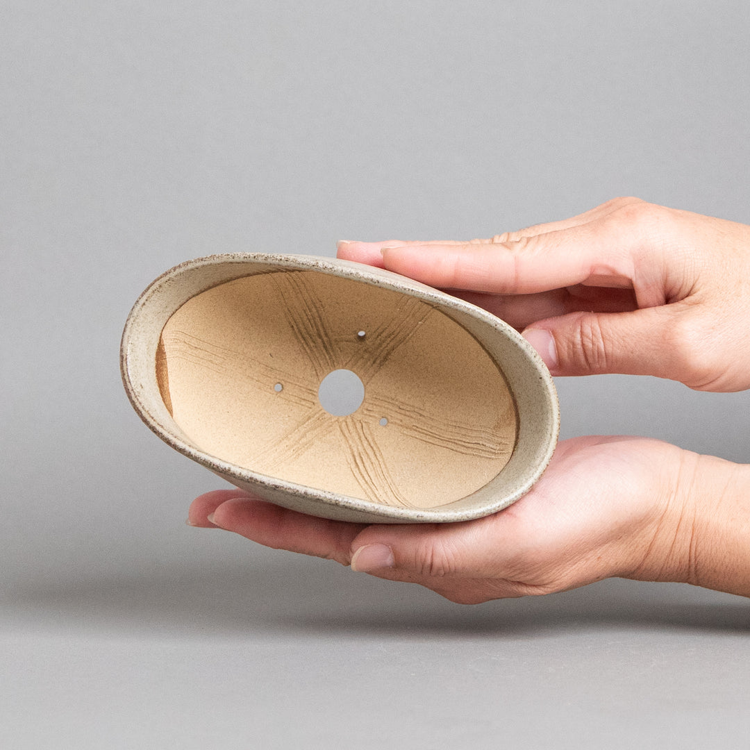 作家鉢　土秀窯　和田隆男｜(POT-0033-ES)