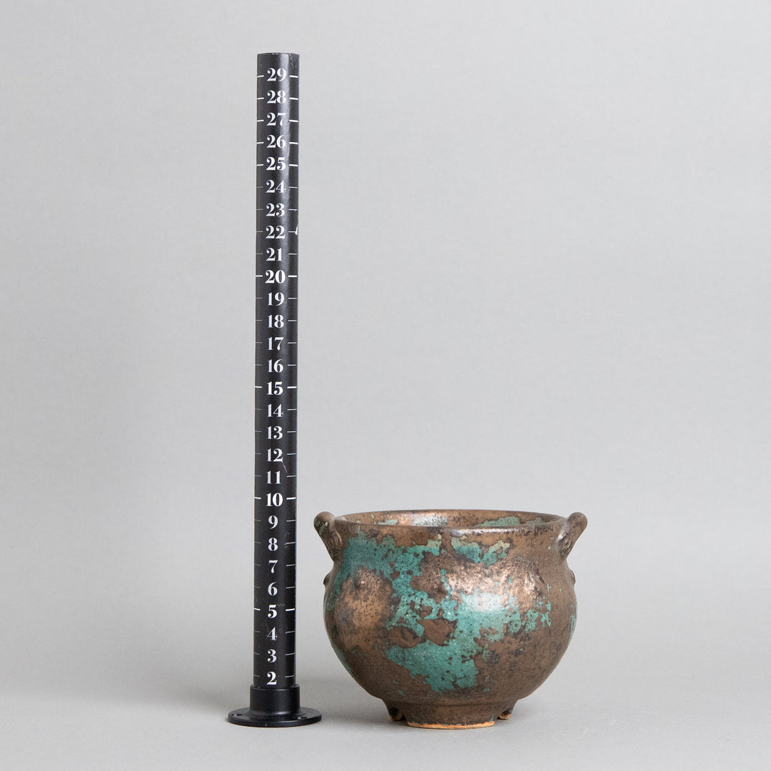 作家鉢　インディゴザウルス.ラボ｜(POT-0181-ES)