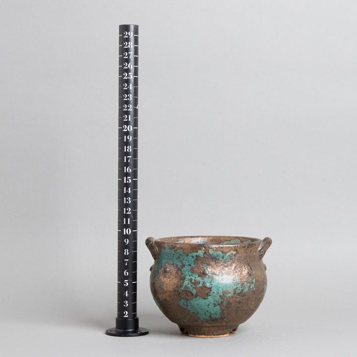 作家鉢　インディゴザウルス.ラボ｜(POT-0181-ES)