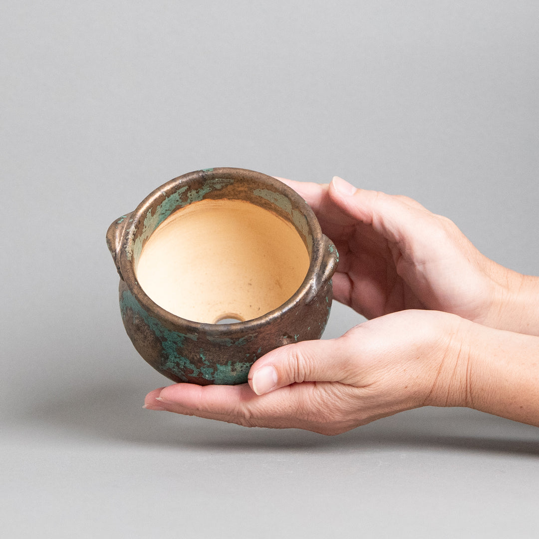 作家鉢　インディゴザウルス.ラボ｜(POT-0181-ES)