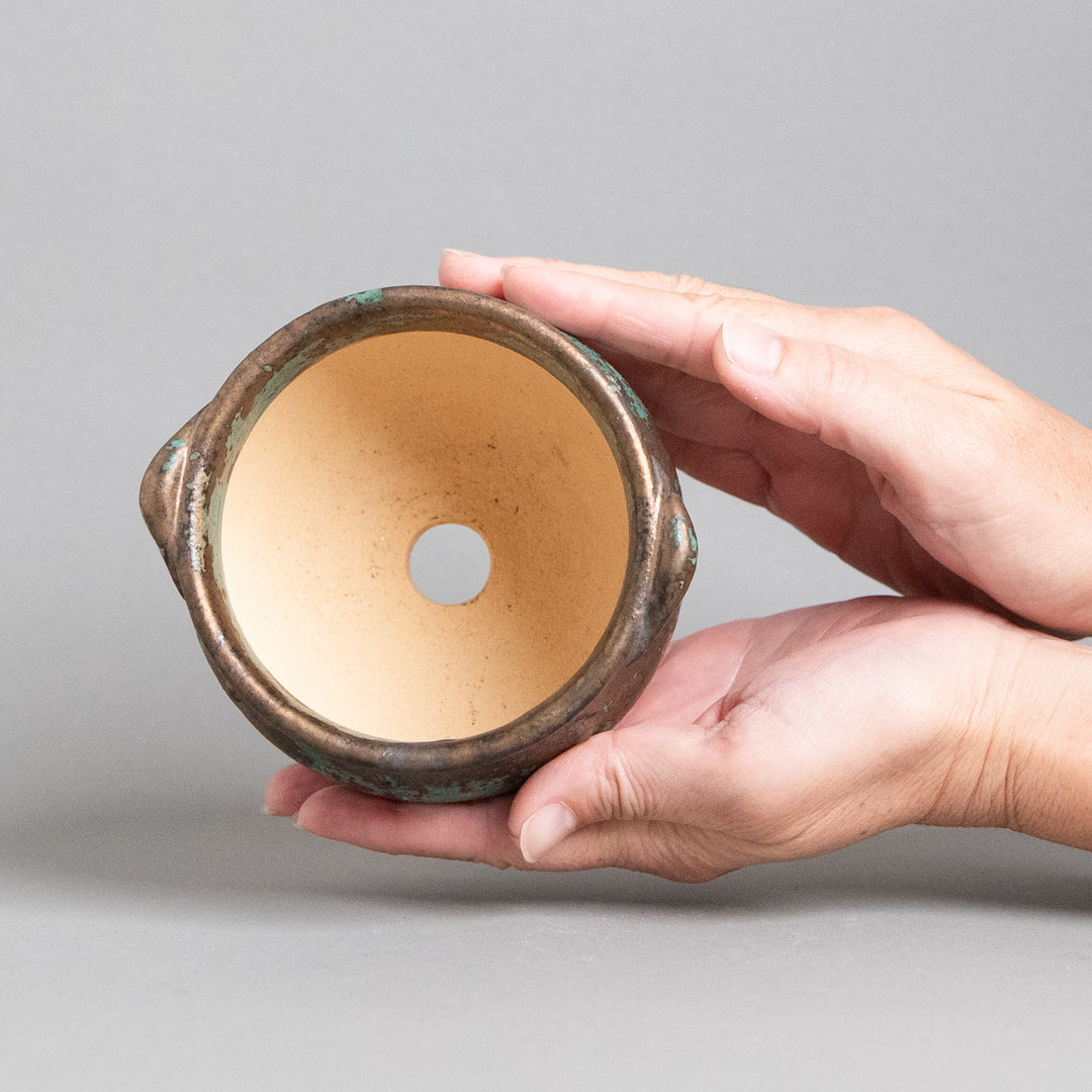 作家鉢　インディゴザウルス.ラボ｜(POT-0181-ES)