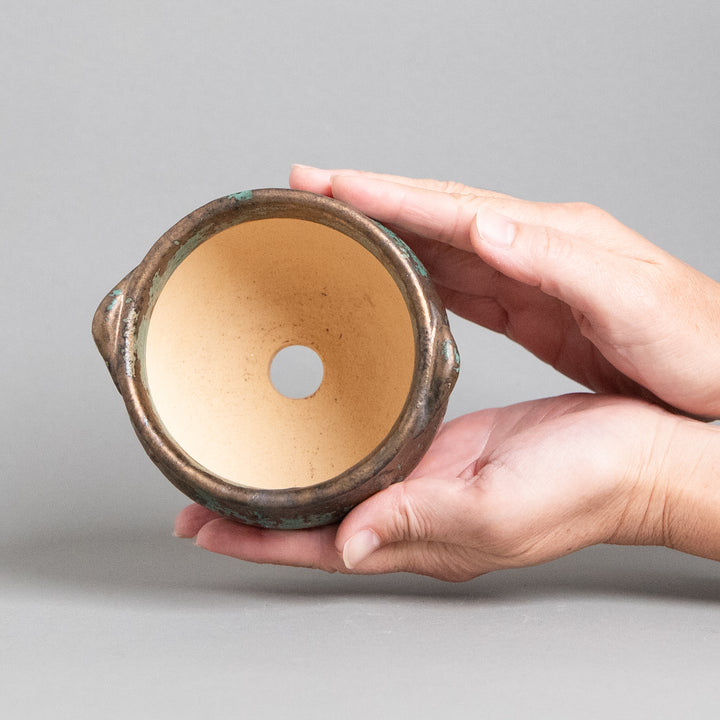 作家鉢　インディゴザウルス.ラボ｜(POT-0181-ES)