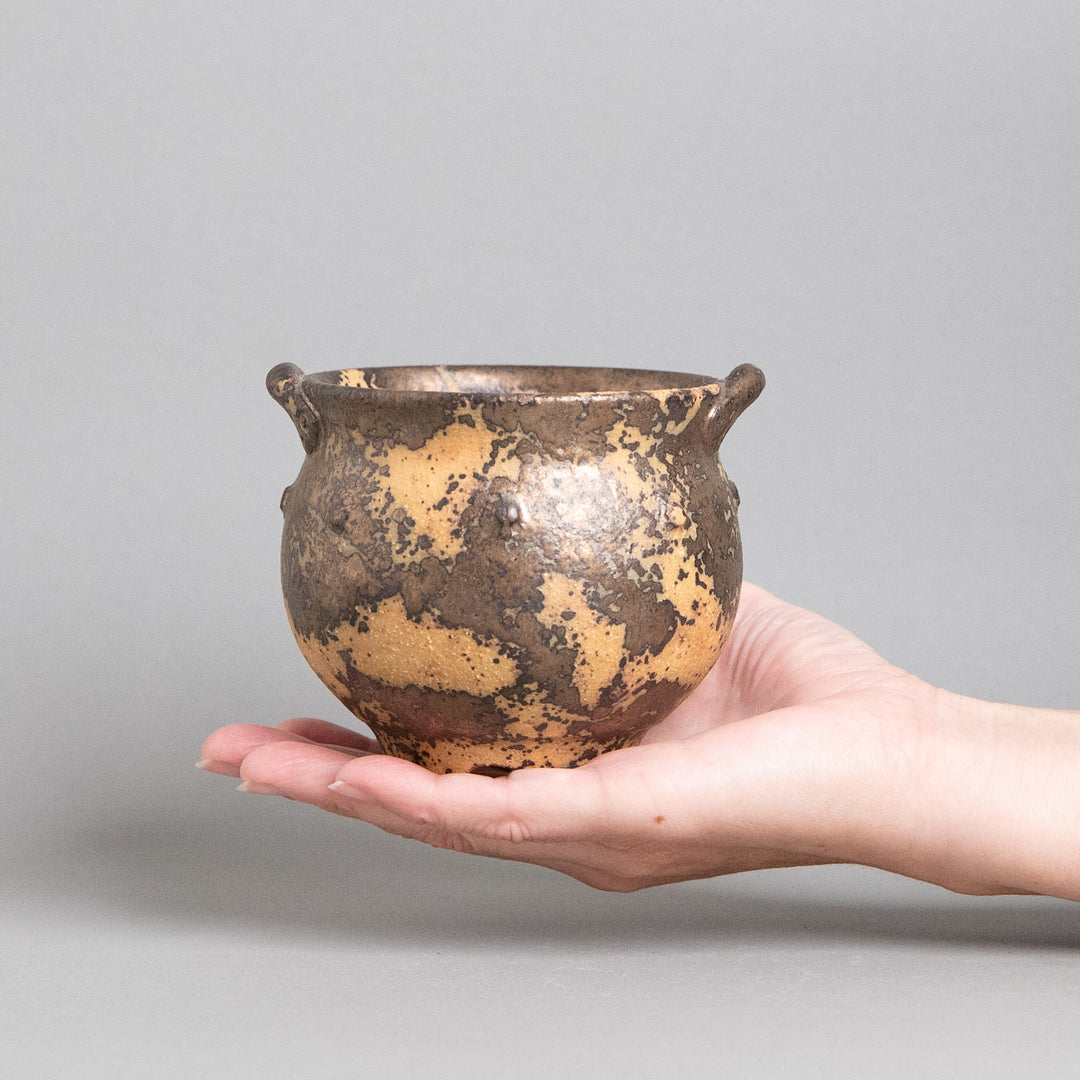 作家鉢　インディゴザウルス.ラボ｜(POT-0180-ES)